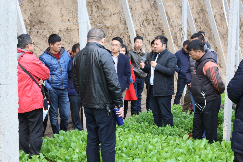 在盆栽蔬菜溫室，李軍老師給十二期學(xué)員講解盆栽蔬菜技術(shù)