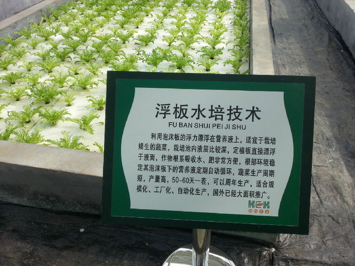 無土栽培浮板水培技術.jpg