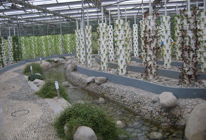 立體無(wú)土栽培.jpg
