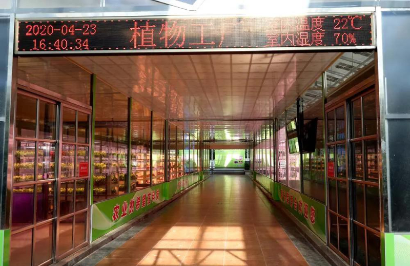 無(wú)土栽培--植物工廠.jpg